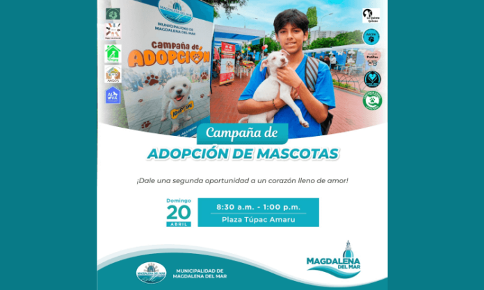 Campaña de Adopción de Mascota en Magdalena del Mar