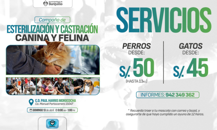 Campaña de Esterilización Canina y Felina en Surquillo