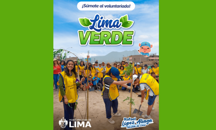 Voluntariado Lima Verde